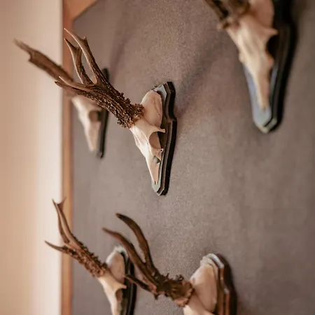 Garni Oberdorfer Stuben 3* Обермайзельштайн